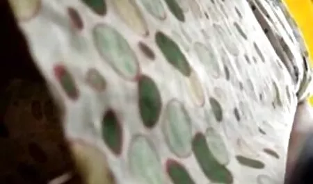Zapato de mierda y cremoso chorro padre e hija xxx español