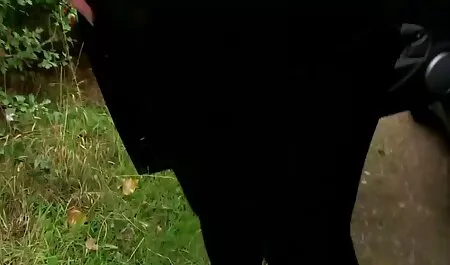 Dos increíbles chicas rusas en la videos porno doblados en español webcam con perfecto